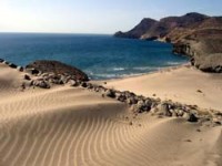 Agencia de Viajes El Faro del Cabo