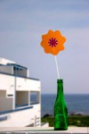 Flower Power Alquiler de Casa