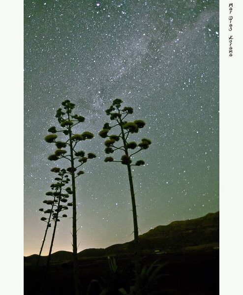 cielos ver Estrellas en cabo de gata