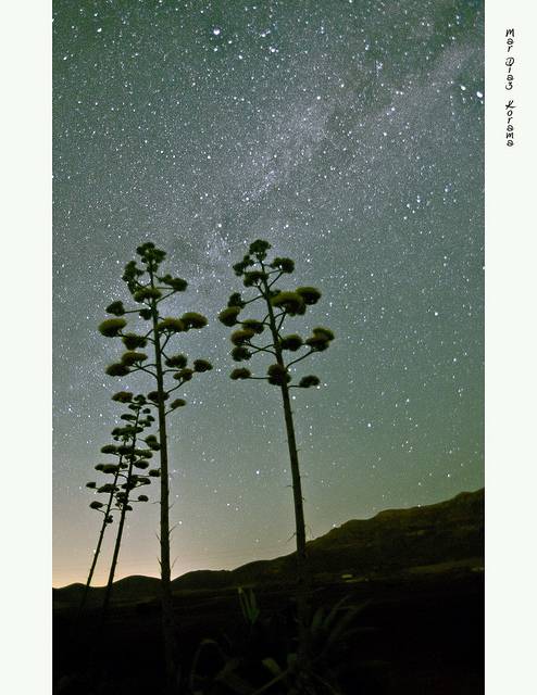 cielos ver Estrellas en cabo de gata